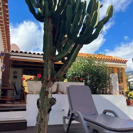 Cactus's House, 150 M Beach, 1 Bdr, 4 Guests, Wifi, Netflix, * 阿德耶